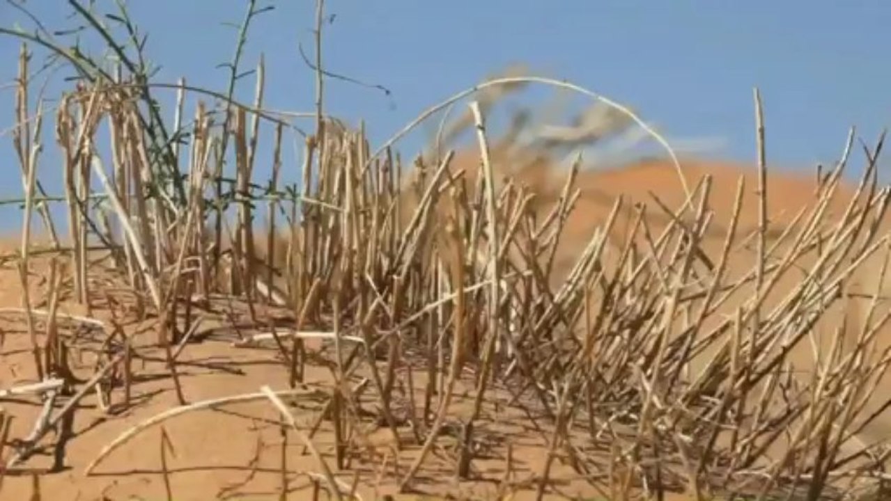 _Maroc, mon amour_...