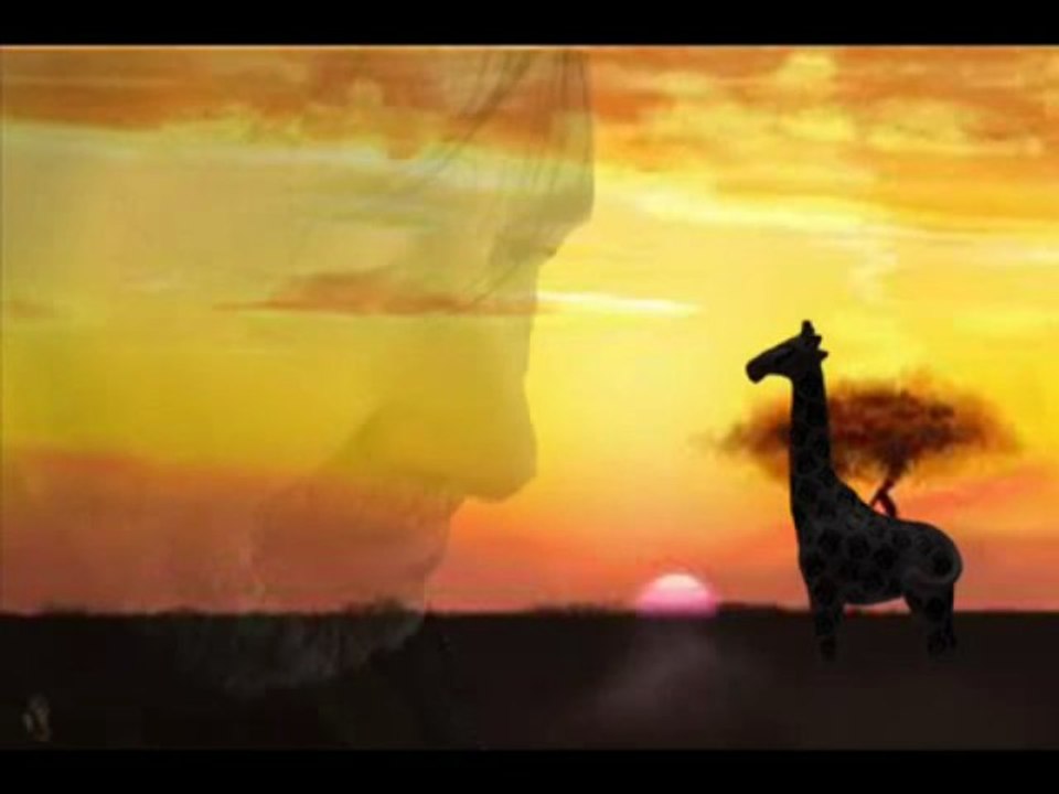 LES GIRAFES EN SAVANE