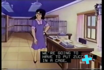 CBS Storybreak- Zucchini