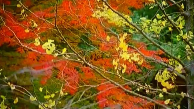 Ицукусима. Говорящая Природа Японии