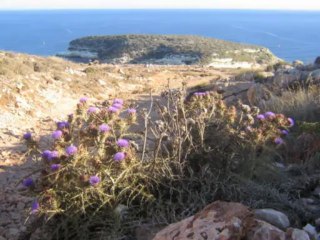 Isola dei Conigli, Sicilia (Italia) - Rabbit's Island, Sicilia (Italy)