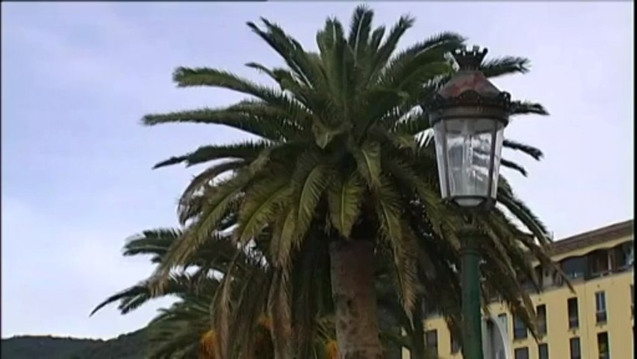 Règlements de compte en Corse-du-Sud, l'enquête vise le clan du "petit bar" d'Ajaccio