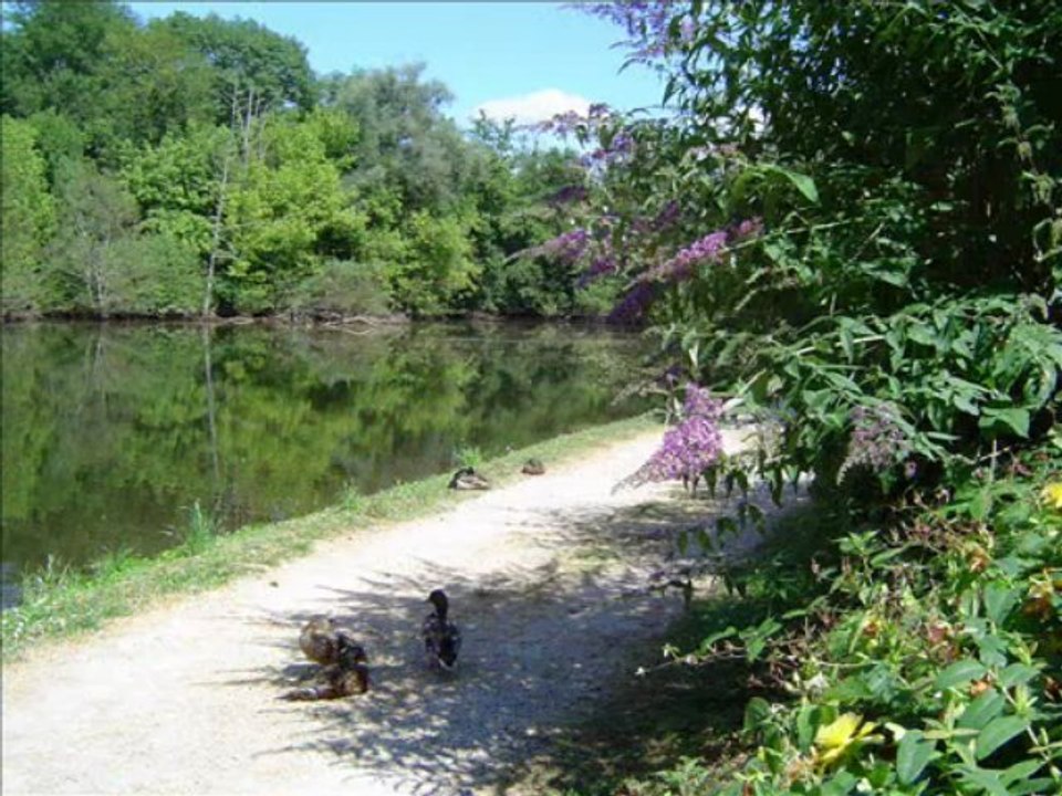Carennac : du rebord du causse aux falaises