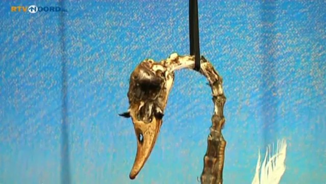 Bijzondere expositie van stillevens in Appingedam - RTV Noord