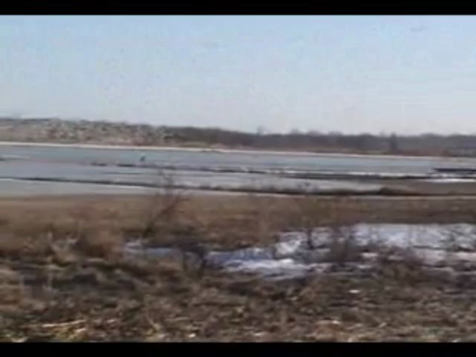 Envolée des oies des neiges au lever du soleil le 6 avril 2013