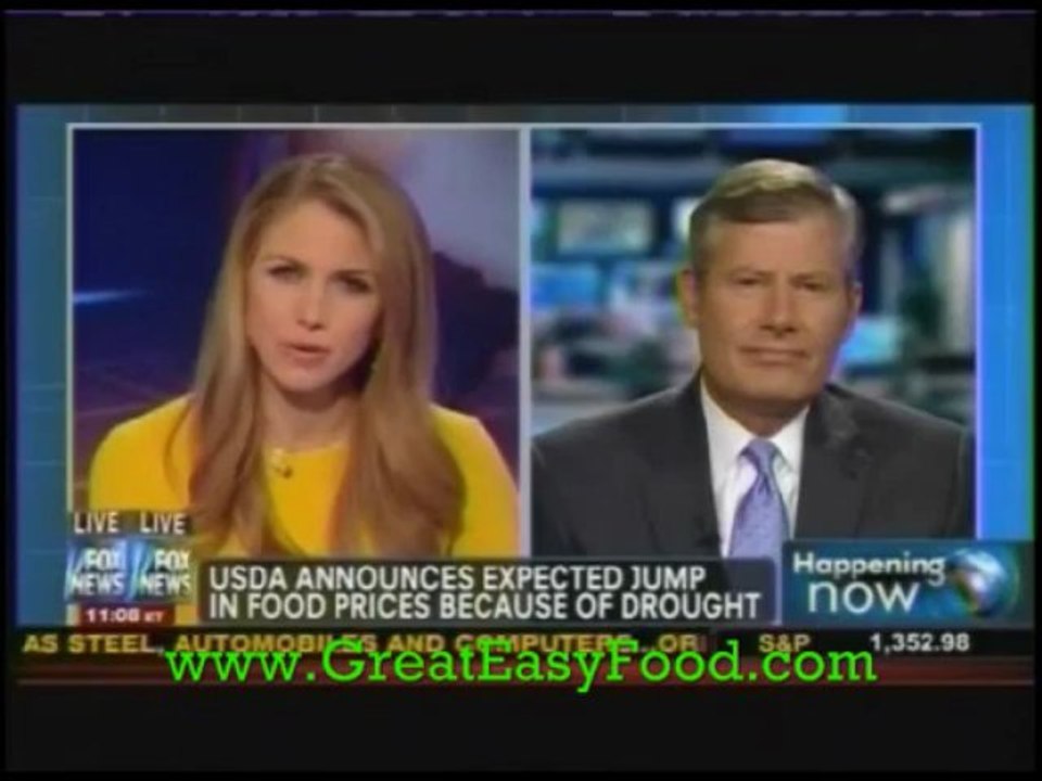 Drought - 2013 Big Increase In Food Price's