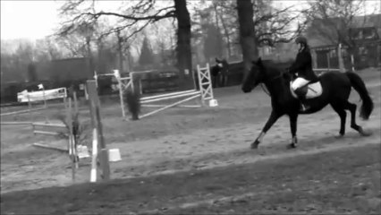 Ferme Equestre des 4 Vents, Bien plus qu'un club ♥