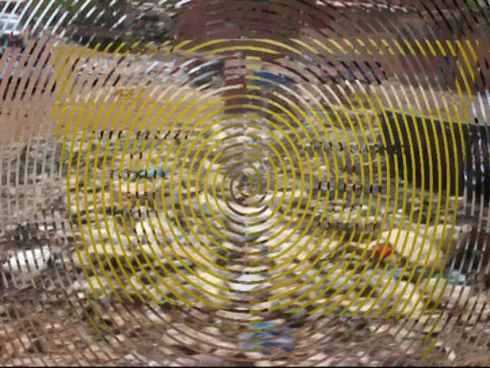 VTS_01_1