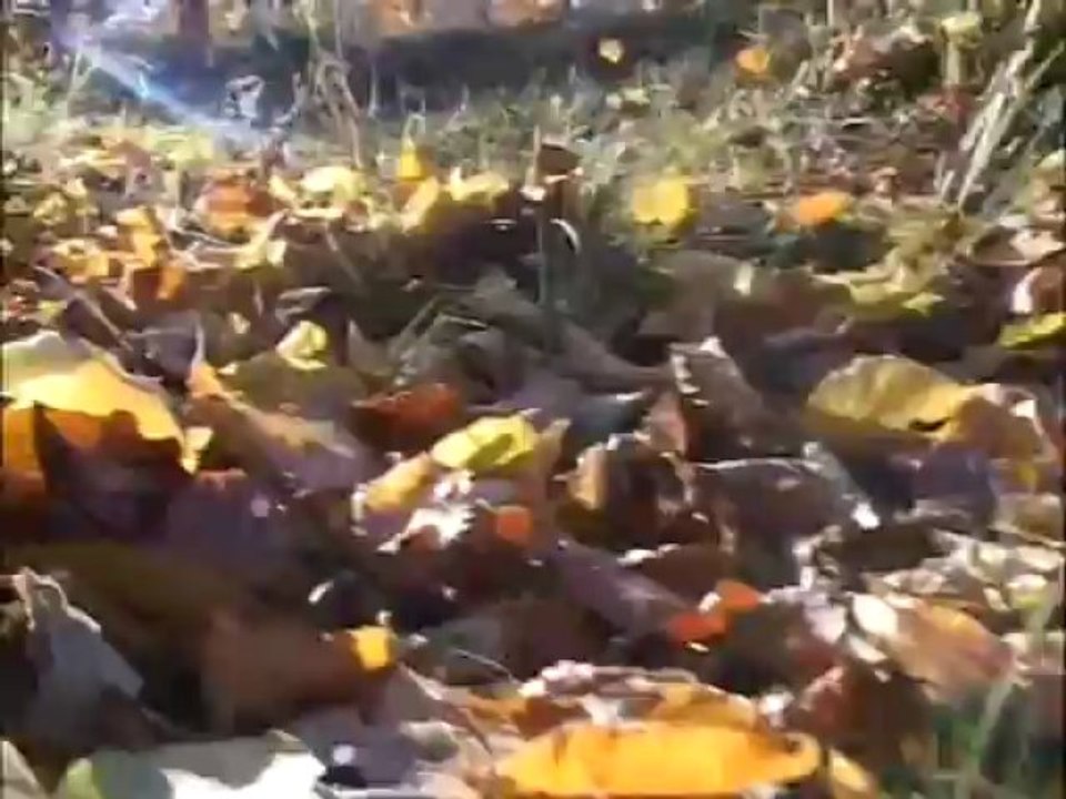 PS Iustinian Chira Aceasta este viata mea part1