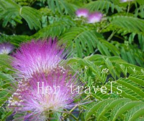 Silence speaks FF-style