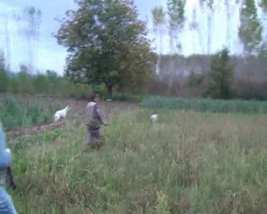 kont