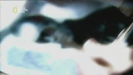 Histoire de Gangs - Boston