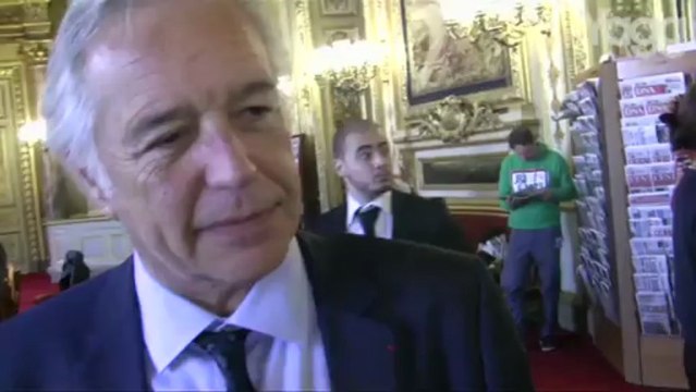 Mariage pour tous: réactions des sénateurs/trices après le vote de la loi
