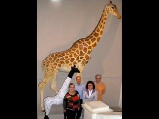 Twiga la girafe