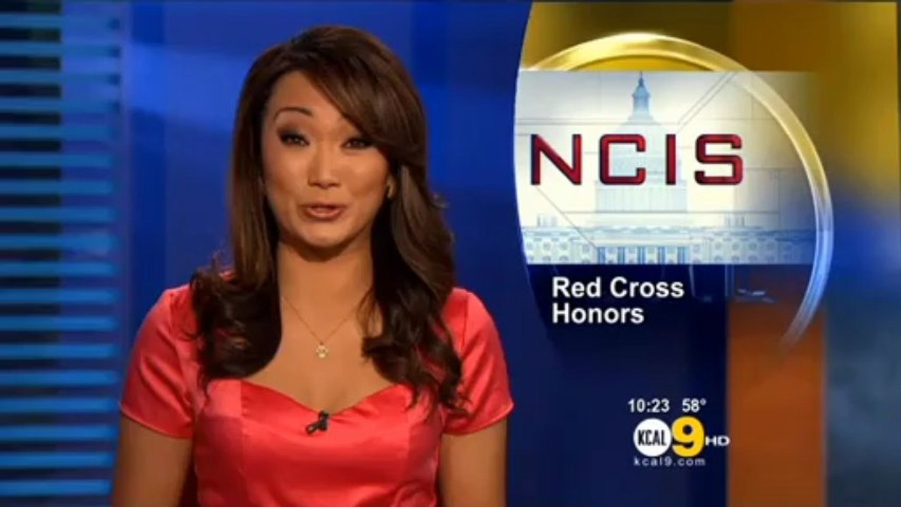 NCIS Cast, Producers Recognized For Their Support Of The Red Cross