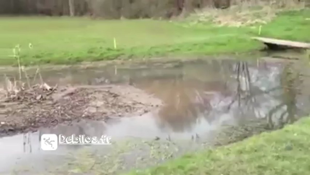 Tout ça pour une balle de golf !