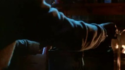 Guizmo - 1er contact