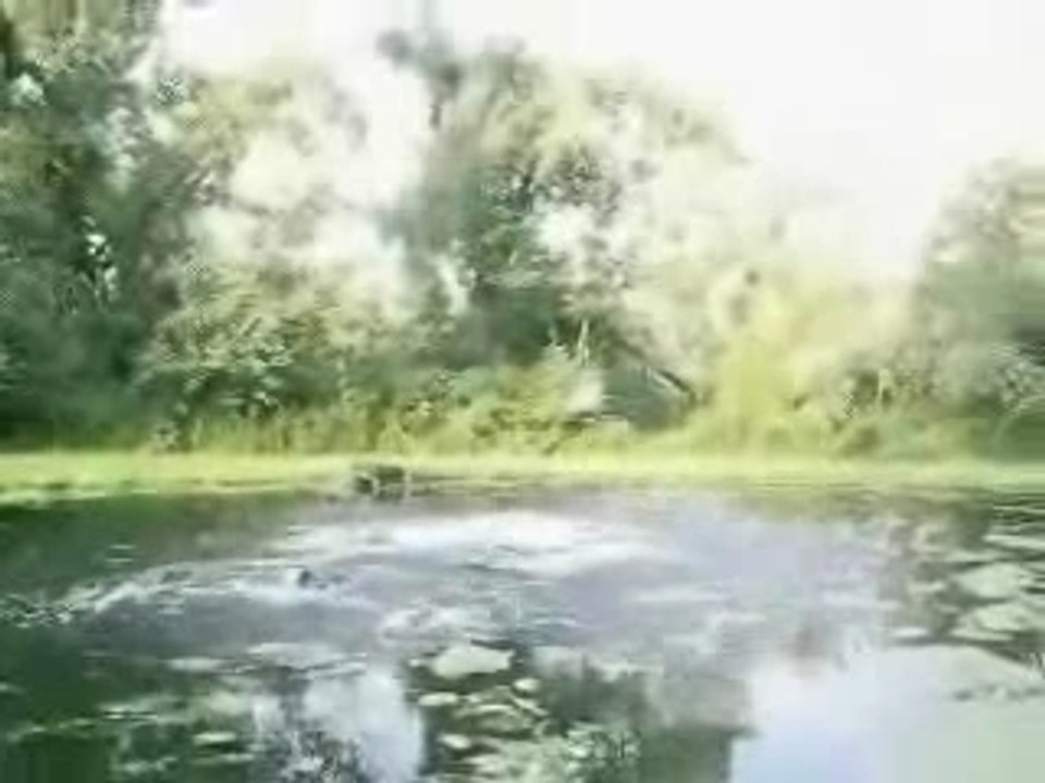 Des chutes en chansons 1