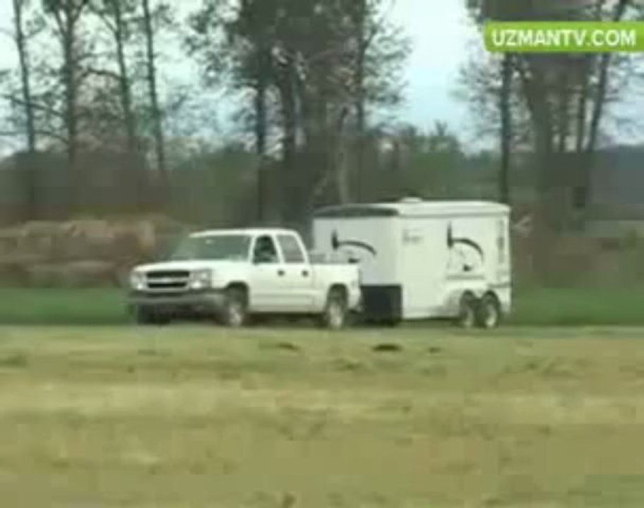 Hangi avlarda av köpekleri kullanılır- www.avtufekleritamiri.blogspot.com