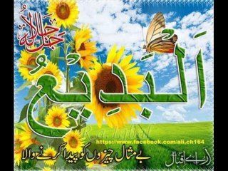 Surat  Rehman 55 Beautiful Translation  Urdu