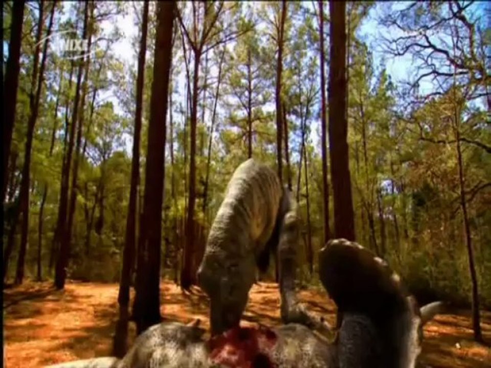 Anixe Dokumentation - Der Dino-Code