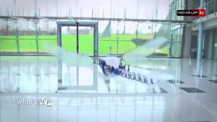 What's Up [S.3] [E.147] - Edition du 02/04/13