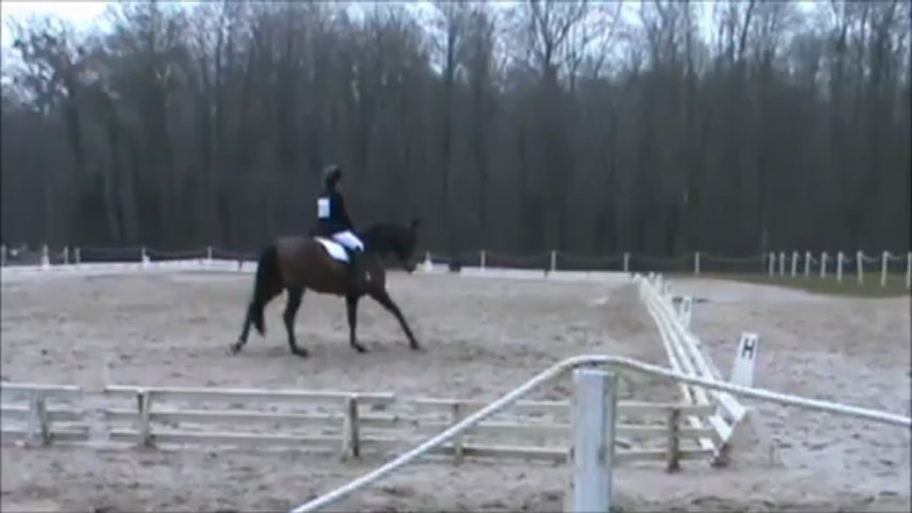 CCE Am2GP Fontenay sur Eure Avril 2013 Dress