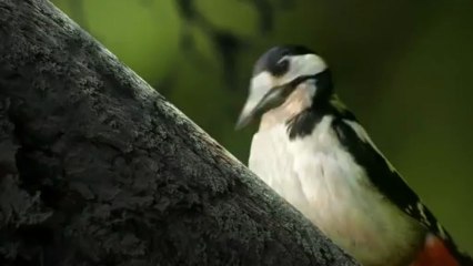 Intuit Media Group - Urbaneco Deveelopment