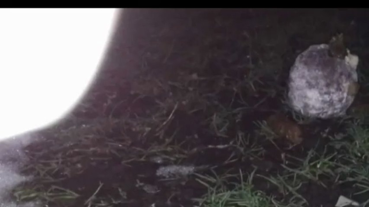 150 fans de Chenet : La Surprise !