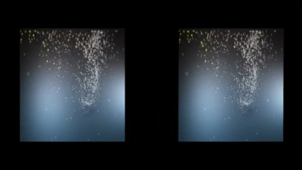 John Paul - Business Elevation Seminar - Intuit Media Group