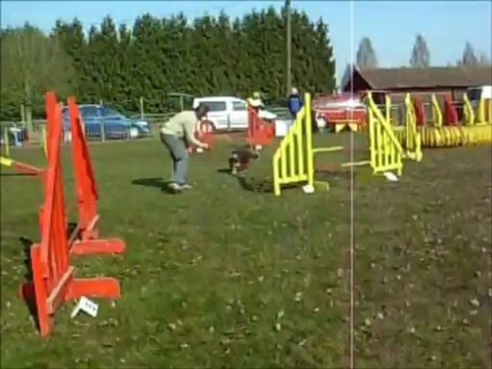 0413_Mastaing_Algy