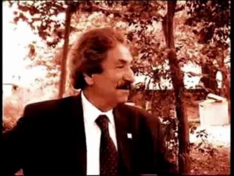 Ali Ekber Çiçek - Engin ol gönül