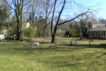 1401 Southwind Way, Dresher, PA