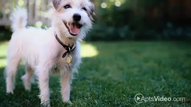 Arabella Apartments in Shoreline, WA - ForRent.com