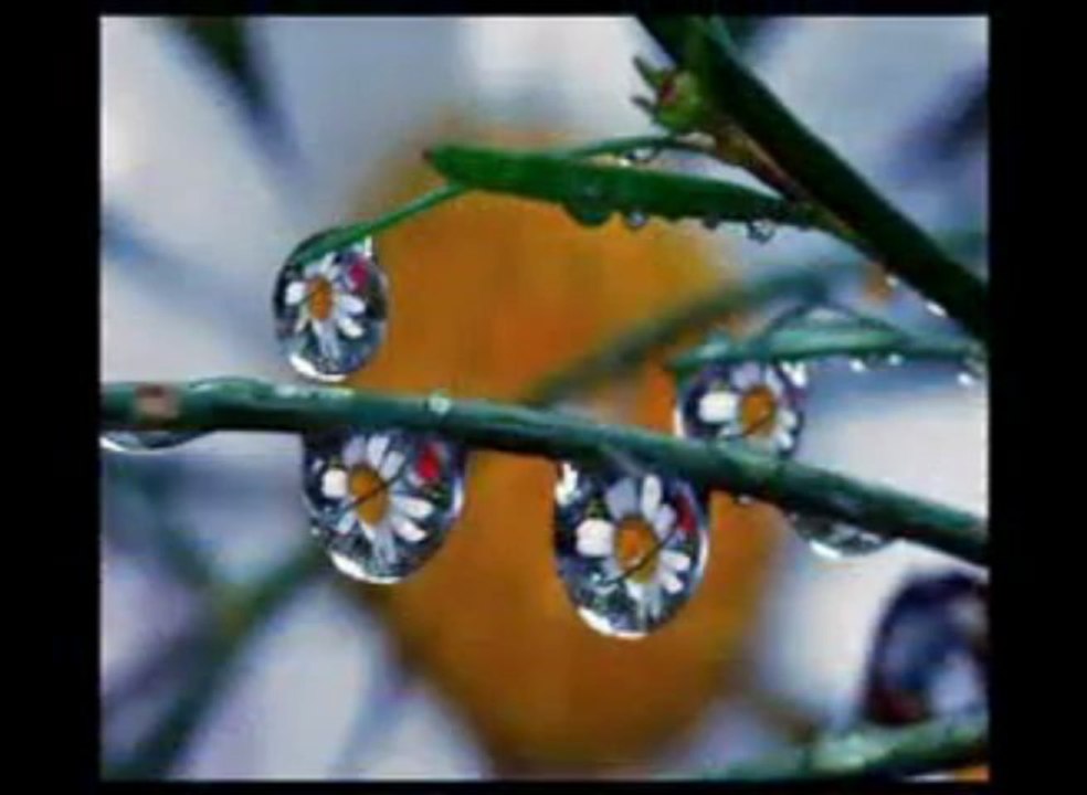 EFKAN ŞEŞEN - VAKİTSİZ