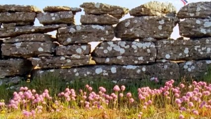 Остров Эланд. Сад Цветов в Каменной Пустыне