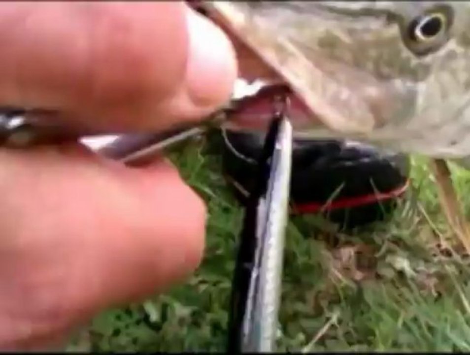 TURNA AVI 07 NİSAN 2013