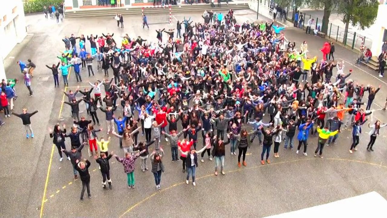 FlashMob (05 avril 2013)