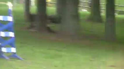 Auriane et Lulu obstacle CCE Club 2 Chateauneuf