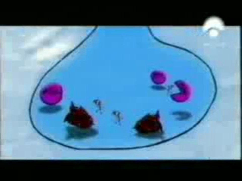NICOTINA Y CEREBRO