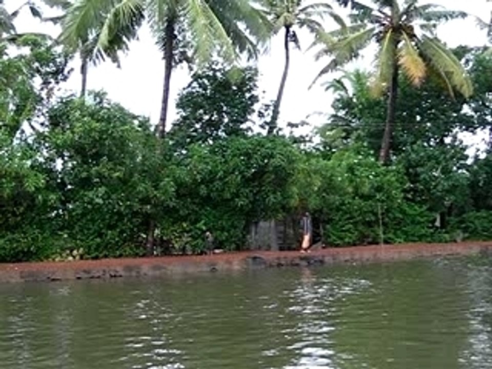 bateau sur les backwater kerala