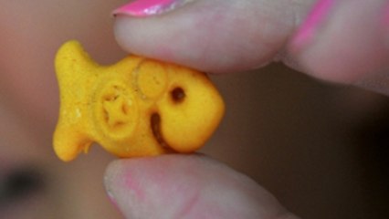Florida Woman Sees Sign from God in a Goldfish Cracker