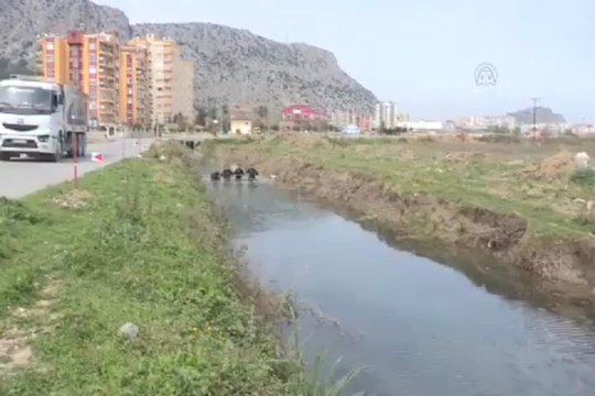 Mavi suların, mavi üniformalı koruyucuları