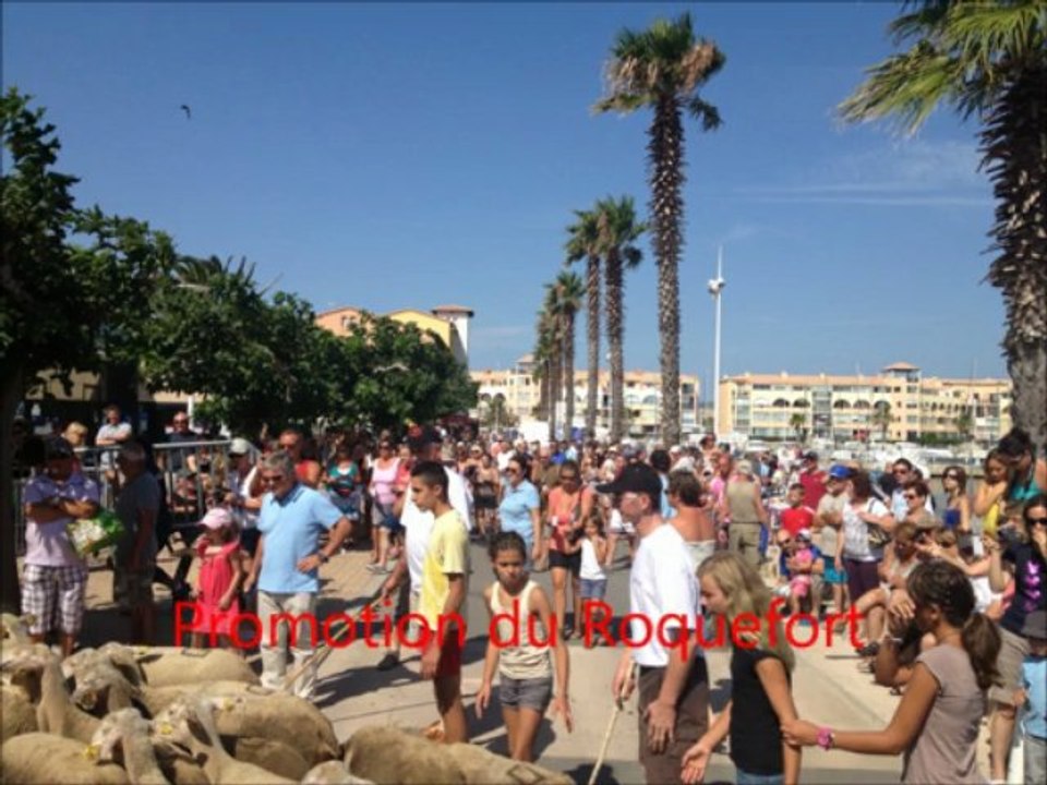 rapport d'activité 2