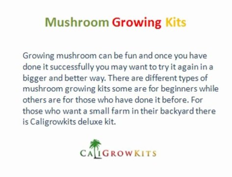 Caligrowkits - Mushroom Growing Kits