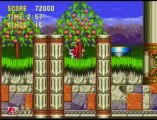 Sonic The Hedgehog 3 & Knuckles (Knuckles Mode) 4/14