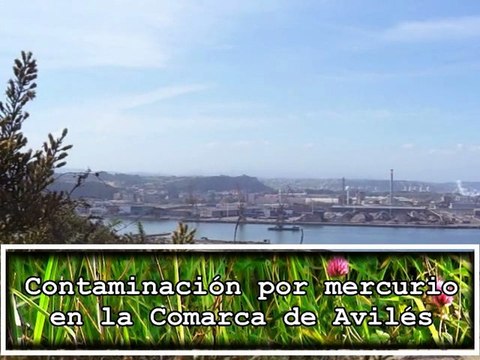 Contaminación por mercurio. Ecologistas piden analizar las aguas