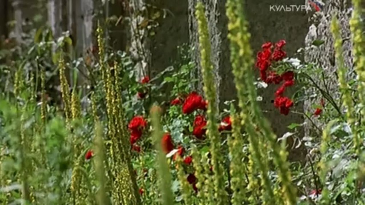 Старый Зальцбург