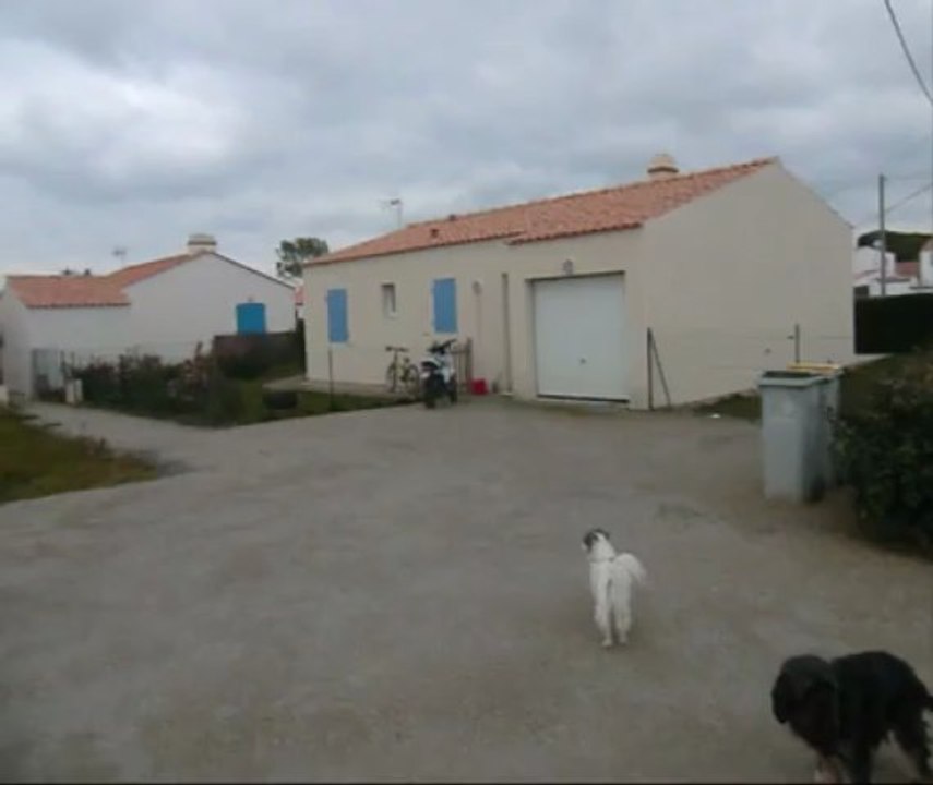 Barbatre
