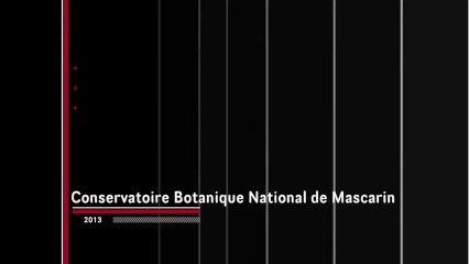 Le conservatoire botanique de Mascarin à Saint-Leu à la Réunion